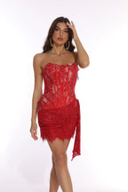 WOLZI Seraphine Sheer Lace Mini Dress - product image 50